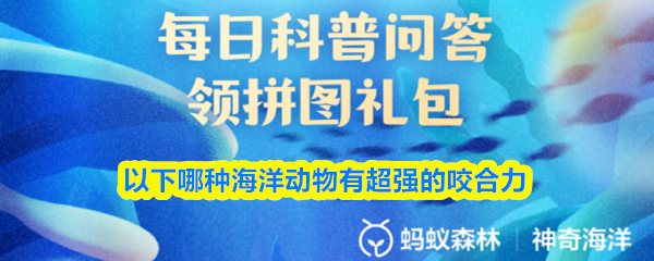 以下哪种海洋动物有超强的咬合力
