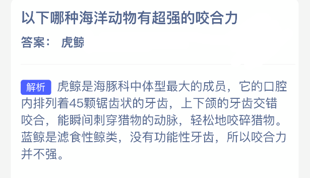 以下哪种海洋动物有超强的咬合力